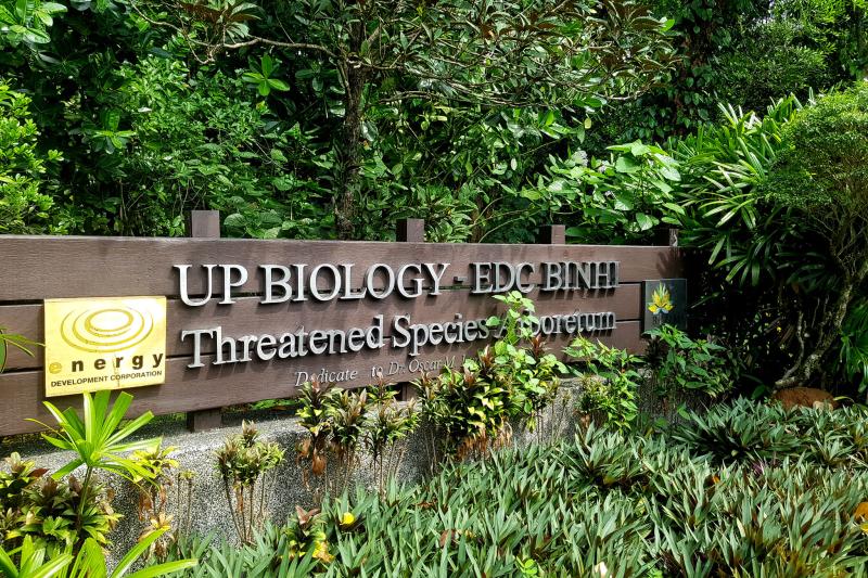 Here’s Why Native Trees and Fruits are Important for Philippine Agrobiodiversity